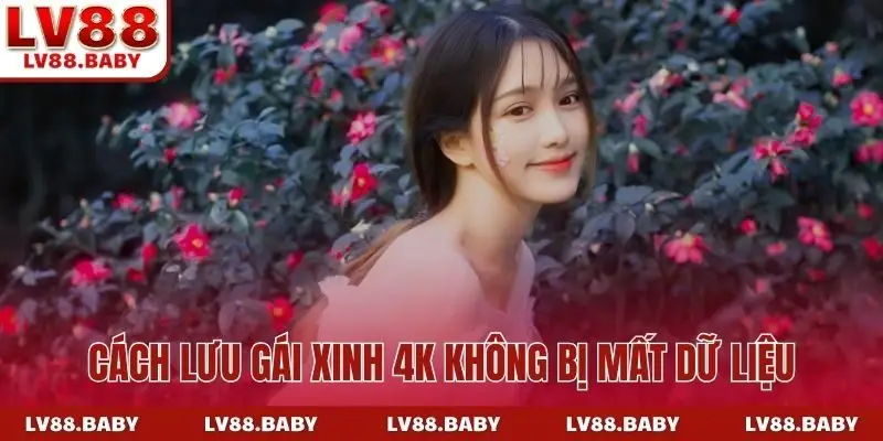 Cách lưu gái xinh 4K không bị mất dữ liệu