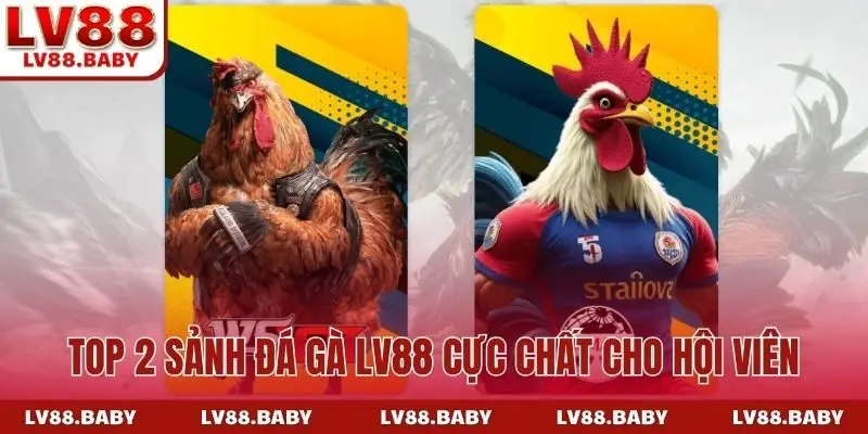 Top 2 sảnh đá gà LV88 cực chất cho hội viên